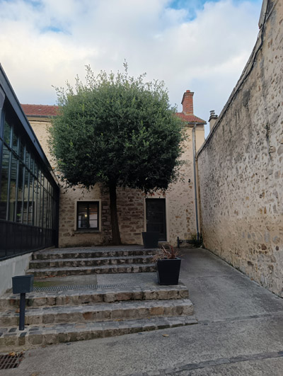 Photo couleur avec le realme 8i