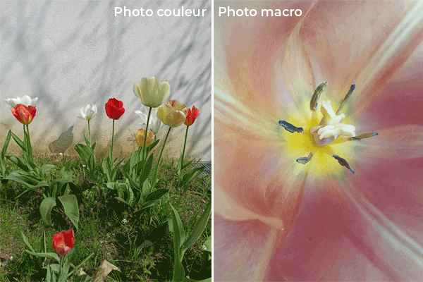 Photo macro avec realme 8