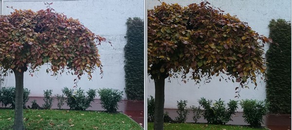 HTC One Max : photo