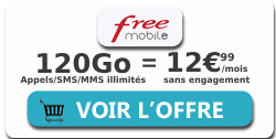 forfait free 120Go