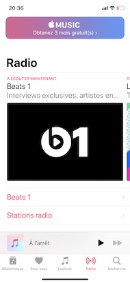 Apple iPhone XS music radio