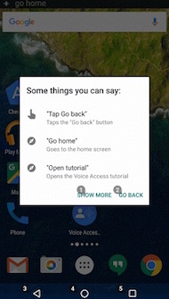 Google Voice Access