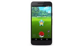 Pokemon Go screen