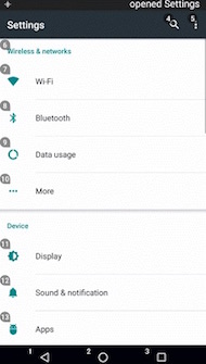 Google Voice Access