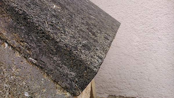 Sony Xperia L : photo prise avec le smartphone (1)