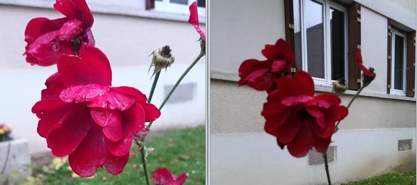 HTC One Max : photo