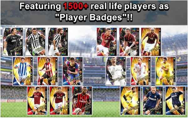 PES Manager