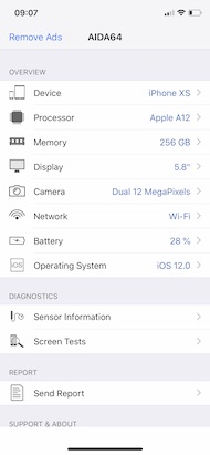 Apple iPhone XS batterie