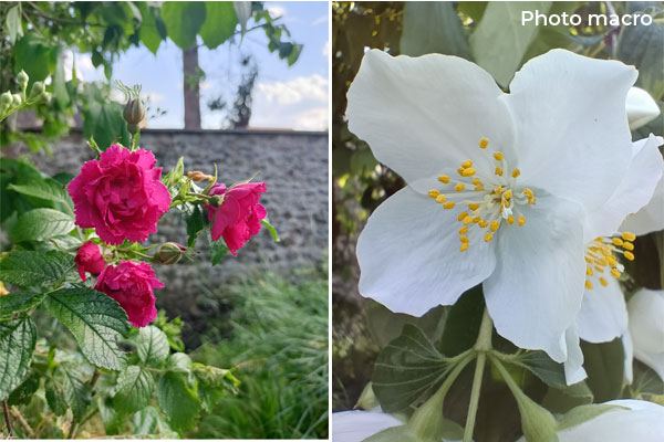 Photo couleur et macro avec l'Oppo A94 5G