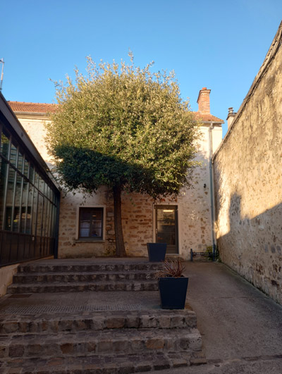 Photo avec le  Motorola Moto G31