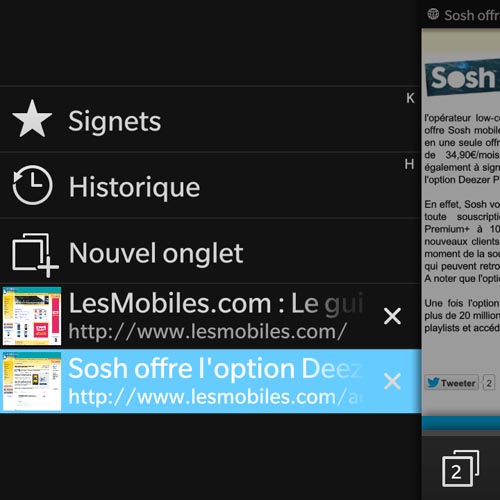 BlackBerry Q10 : navigateur Web (5)