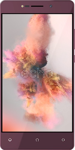 Echo Holi